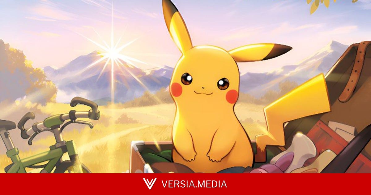 Two brothers admit to stealing more than £71,000 worth of Pokémon TCG cards after failing to escape the police and hide the loot